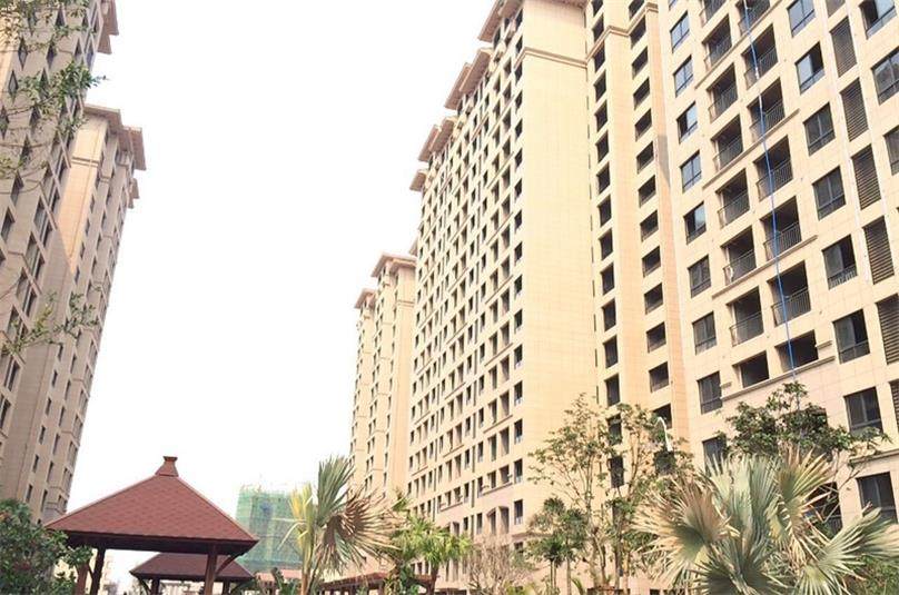 实景图