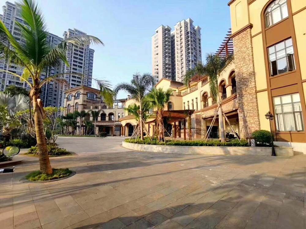 实景图