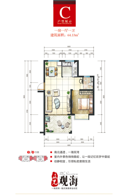C户型图