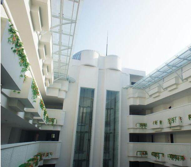 实景图