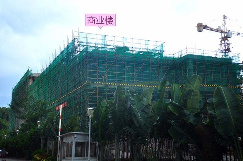 实景图