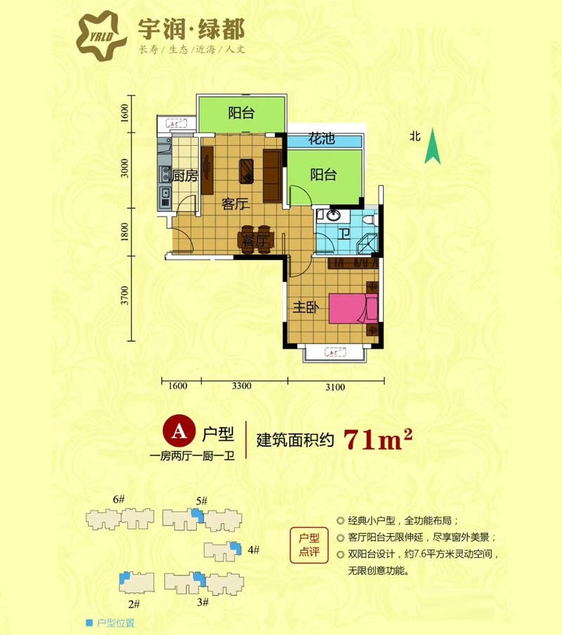 A户型