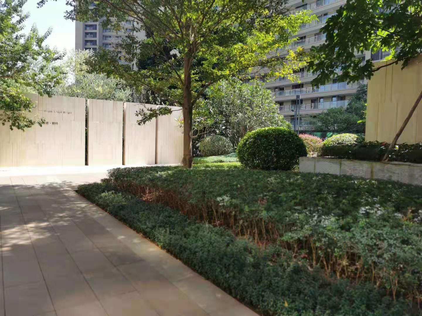 实景图