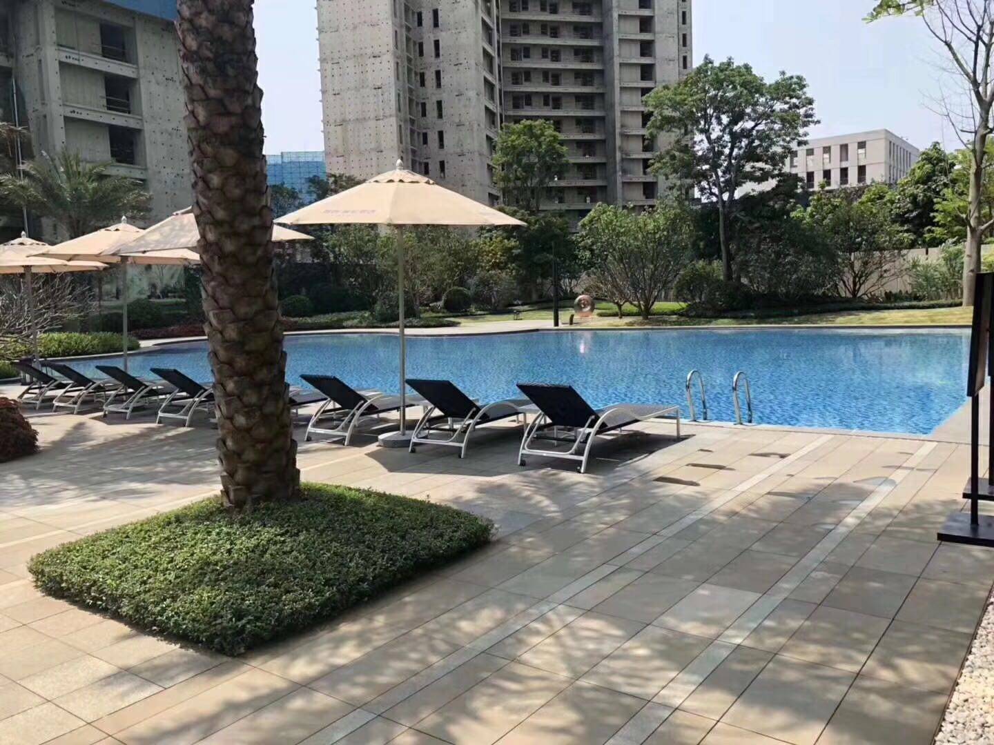 实景图
