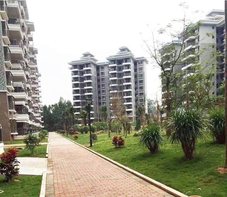实景图
