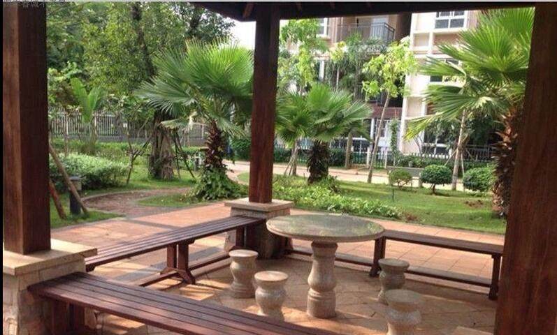 实景图