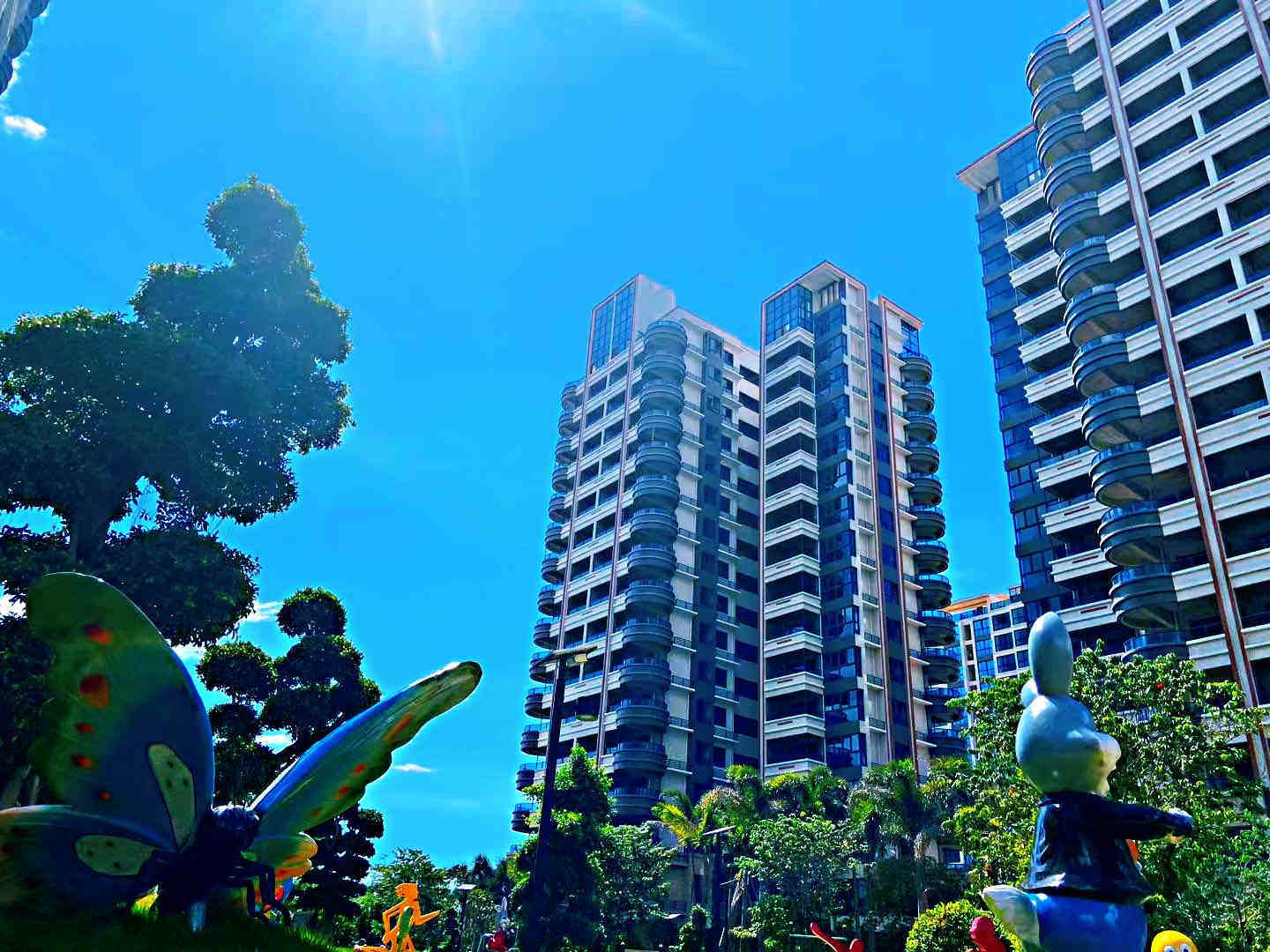 实景图
