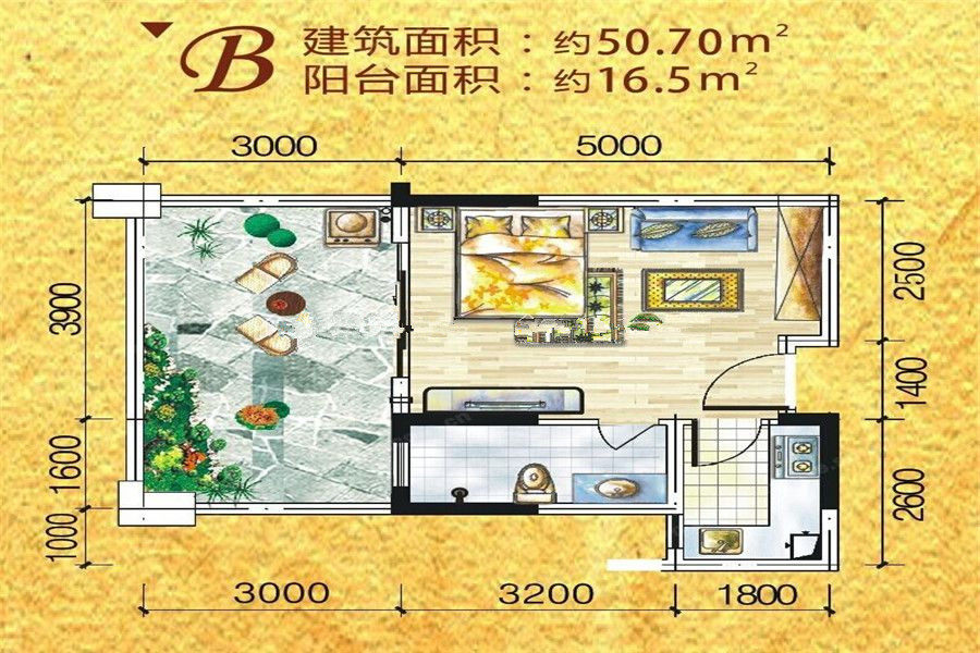 B户型