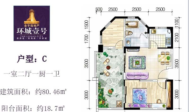 C户型