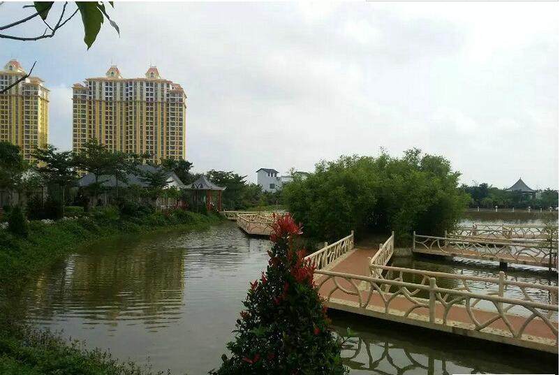 实景图