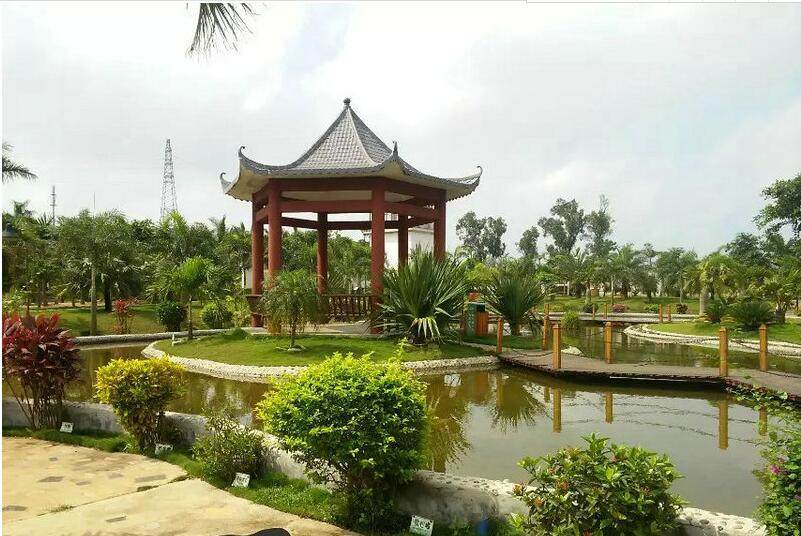 实景图