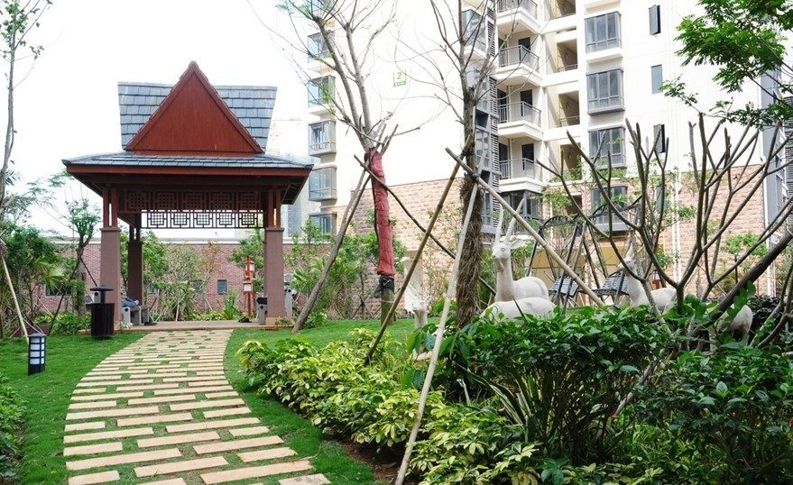 实景图