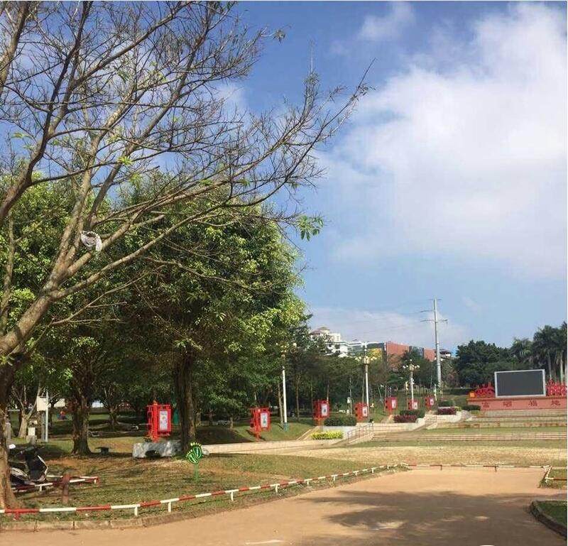 实景图