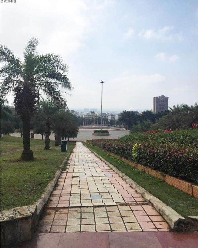 实景图