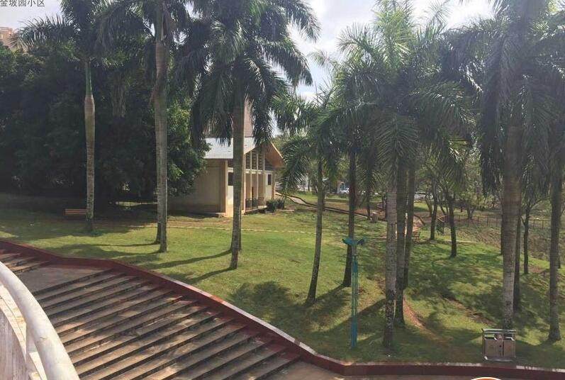 实景图