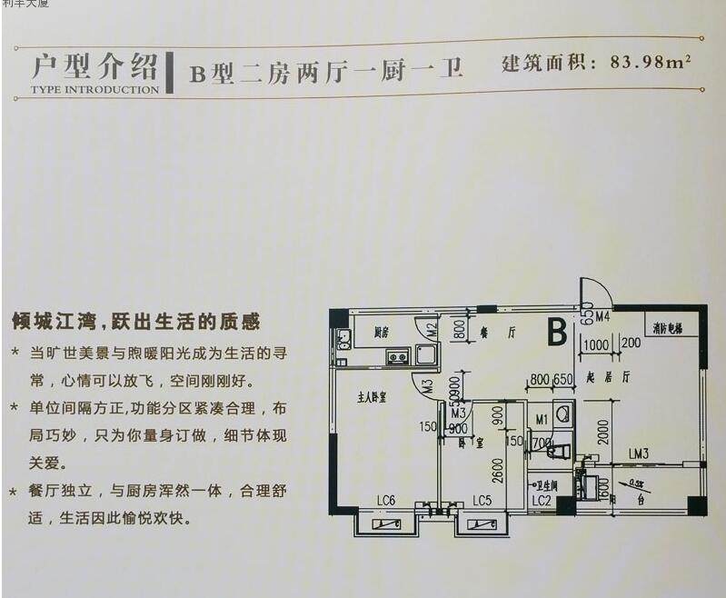 B户型