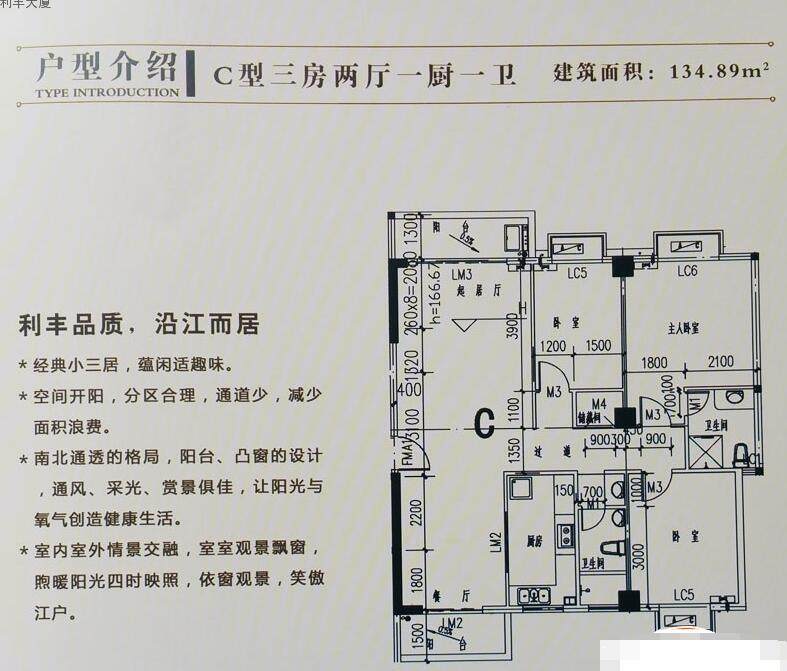 C户型