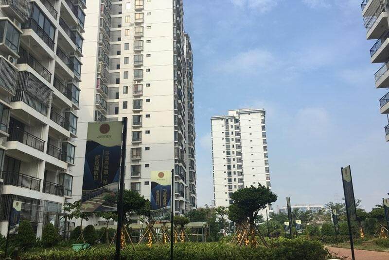 实景图