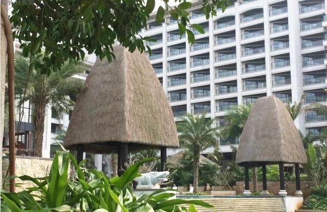 实景图