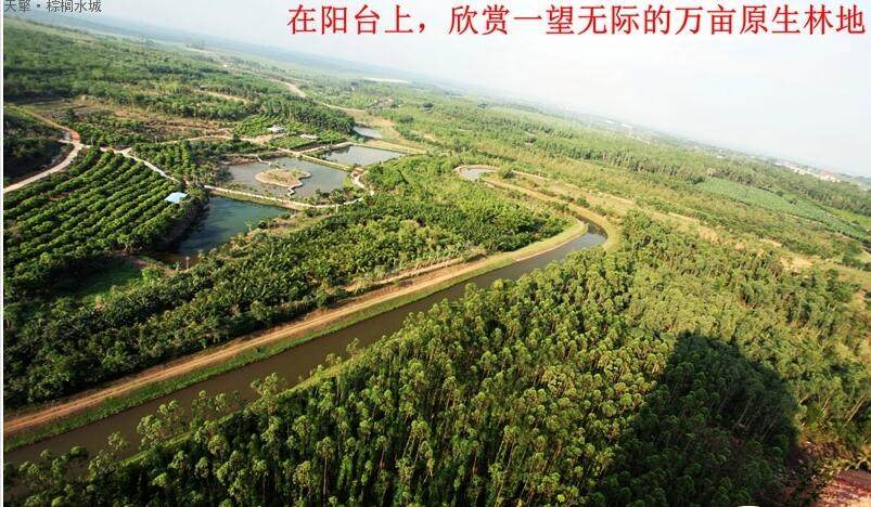 实景图