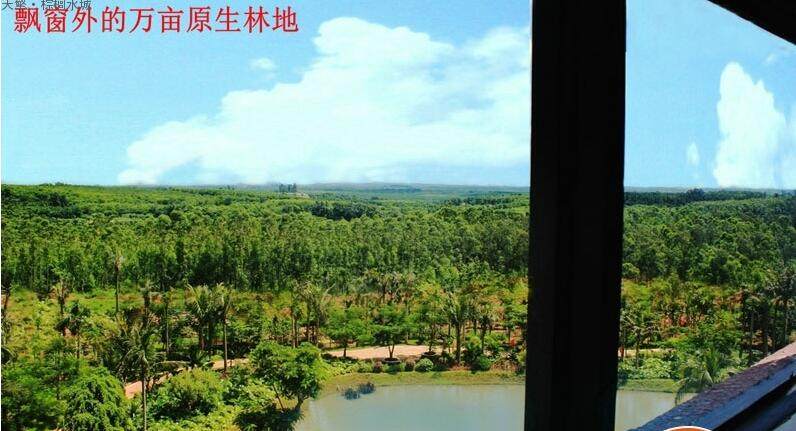 实景图