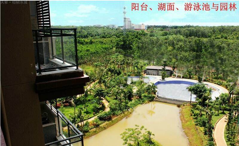 实景图