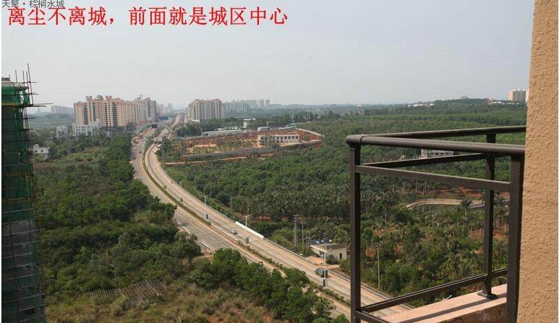 实景图