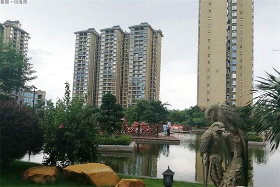 实景图