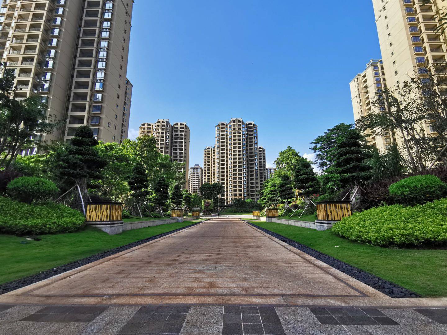 实景图