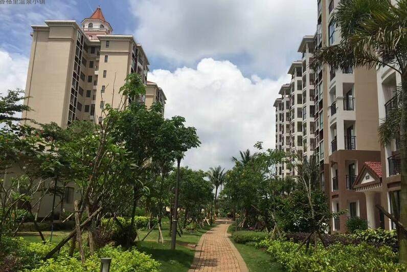 实景图