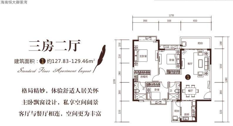 2期43#01户型