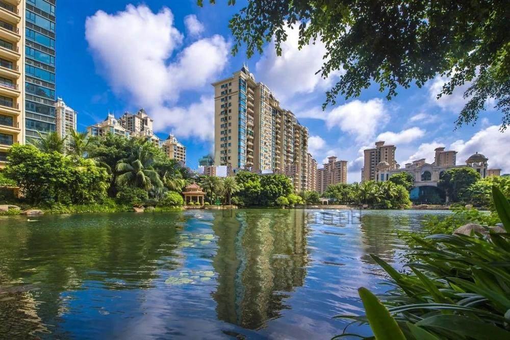 实景图