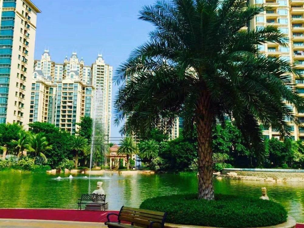 实景图