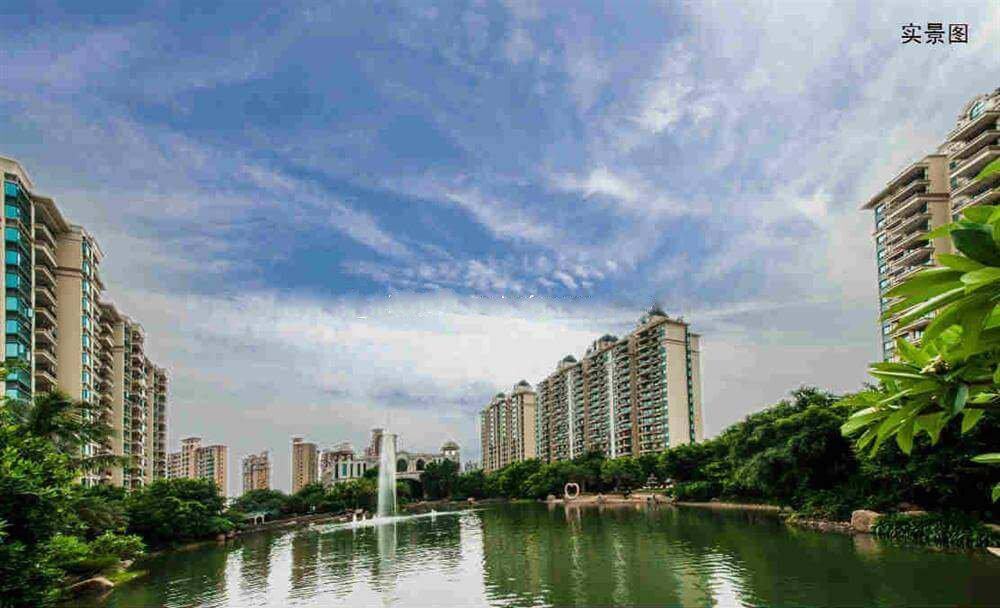 实景图