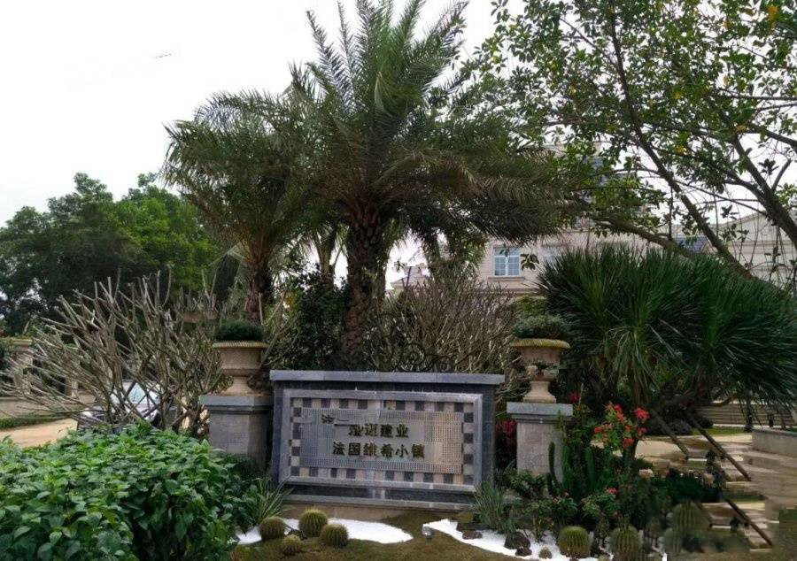 实景图