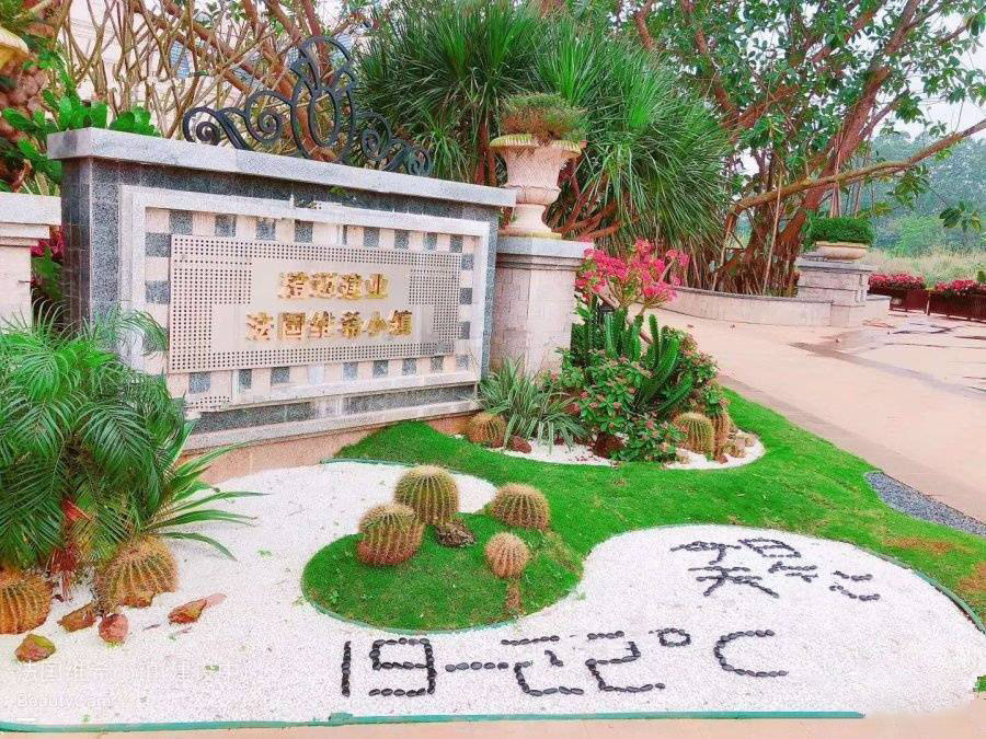 实景图