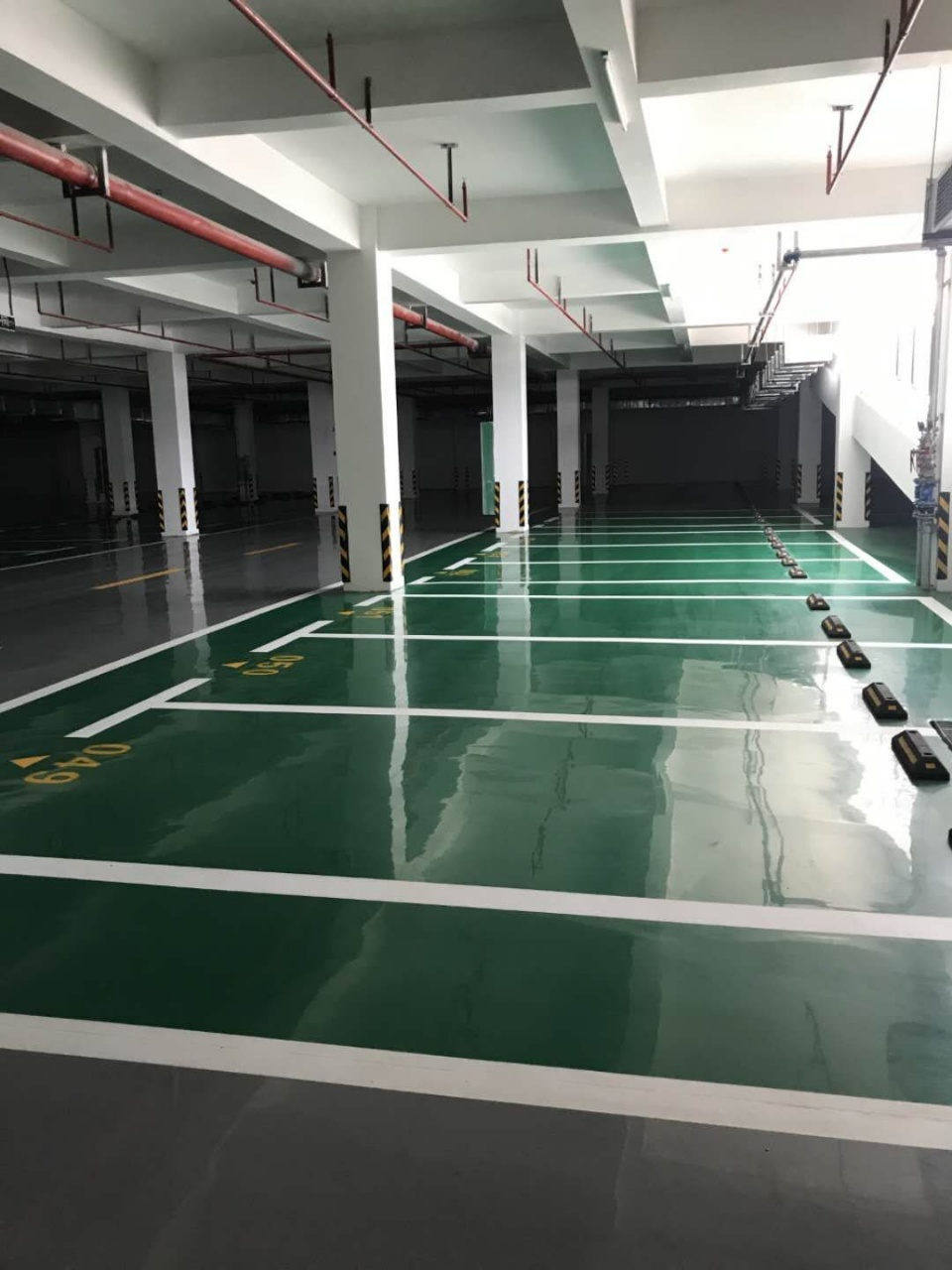 实景图