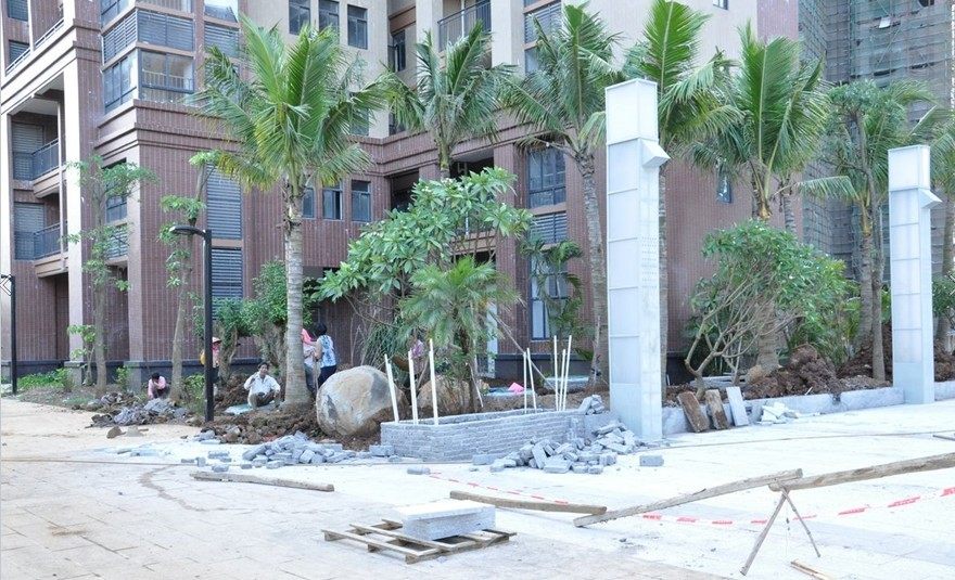 实景图