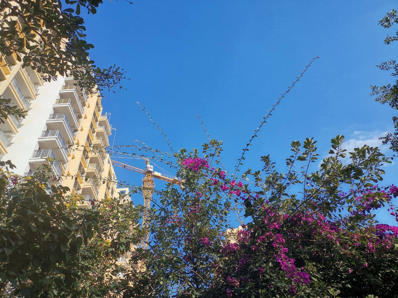 实景图