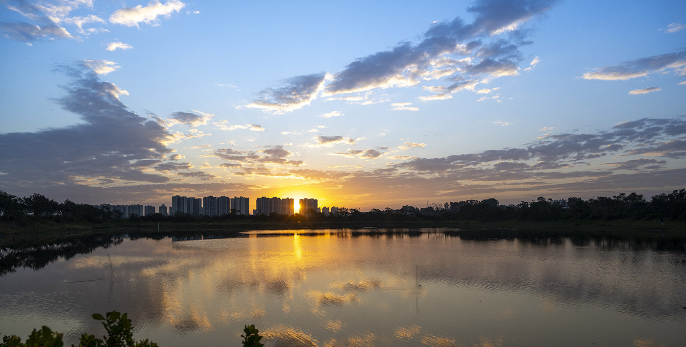 实景图