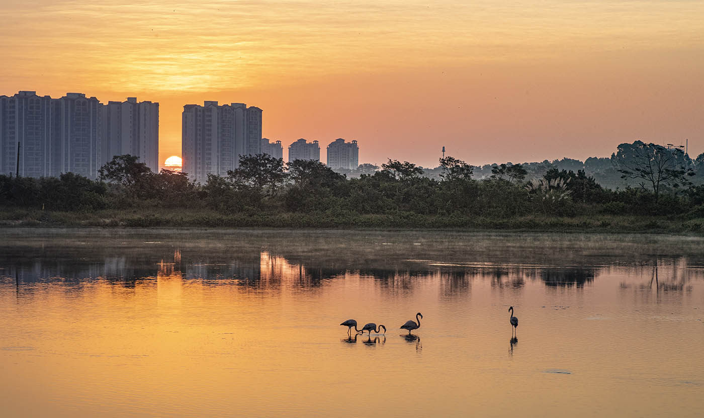 实景图