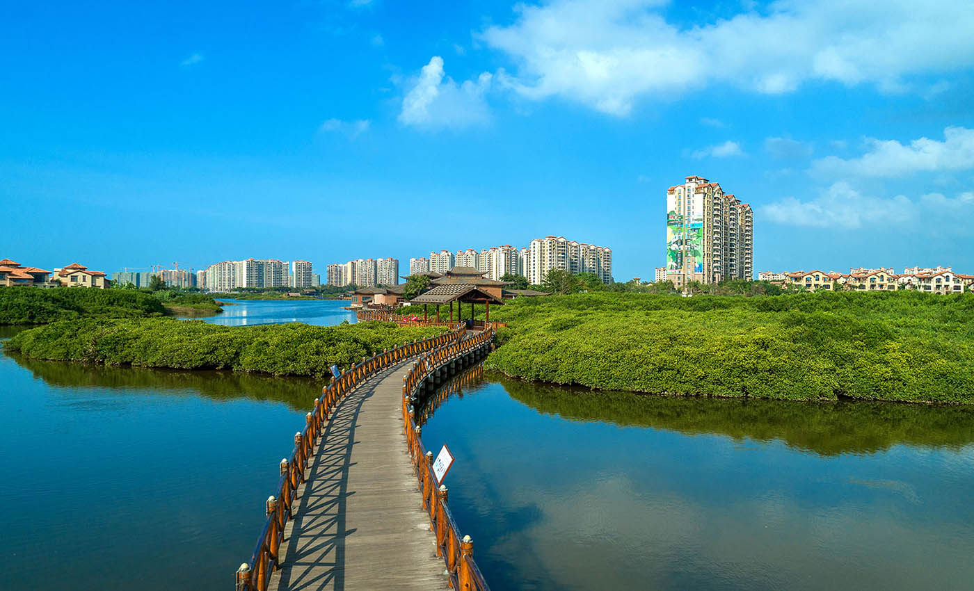 实景图
