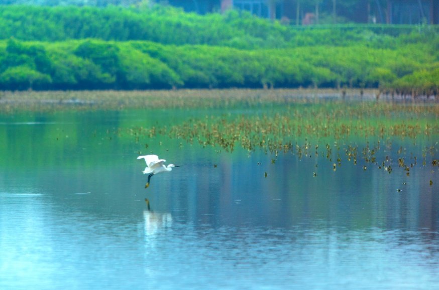 实景图