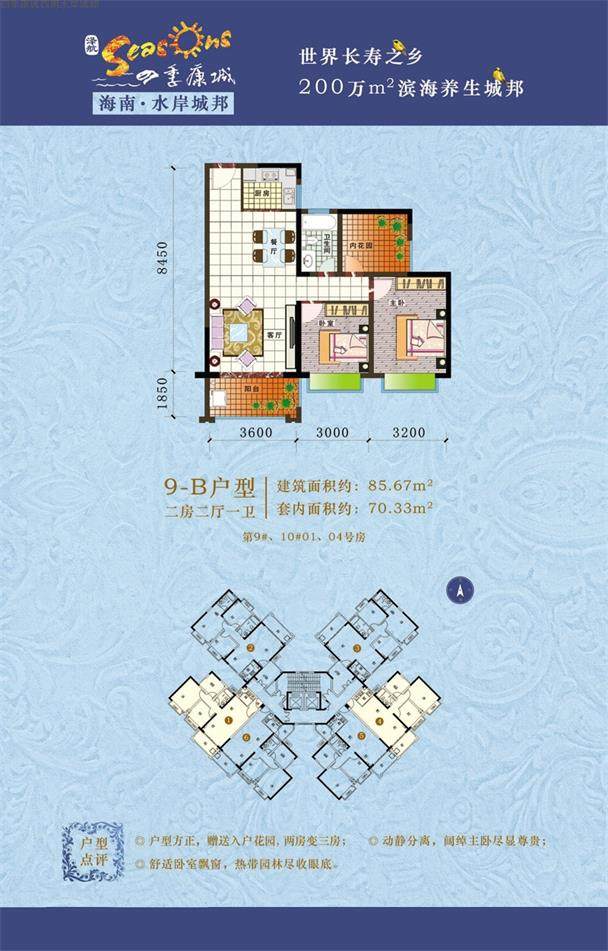 b户型