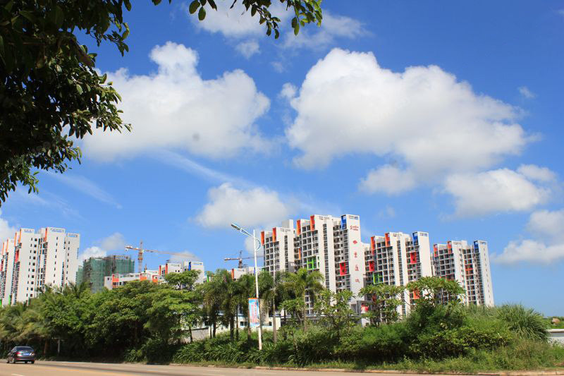 实景图