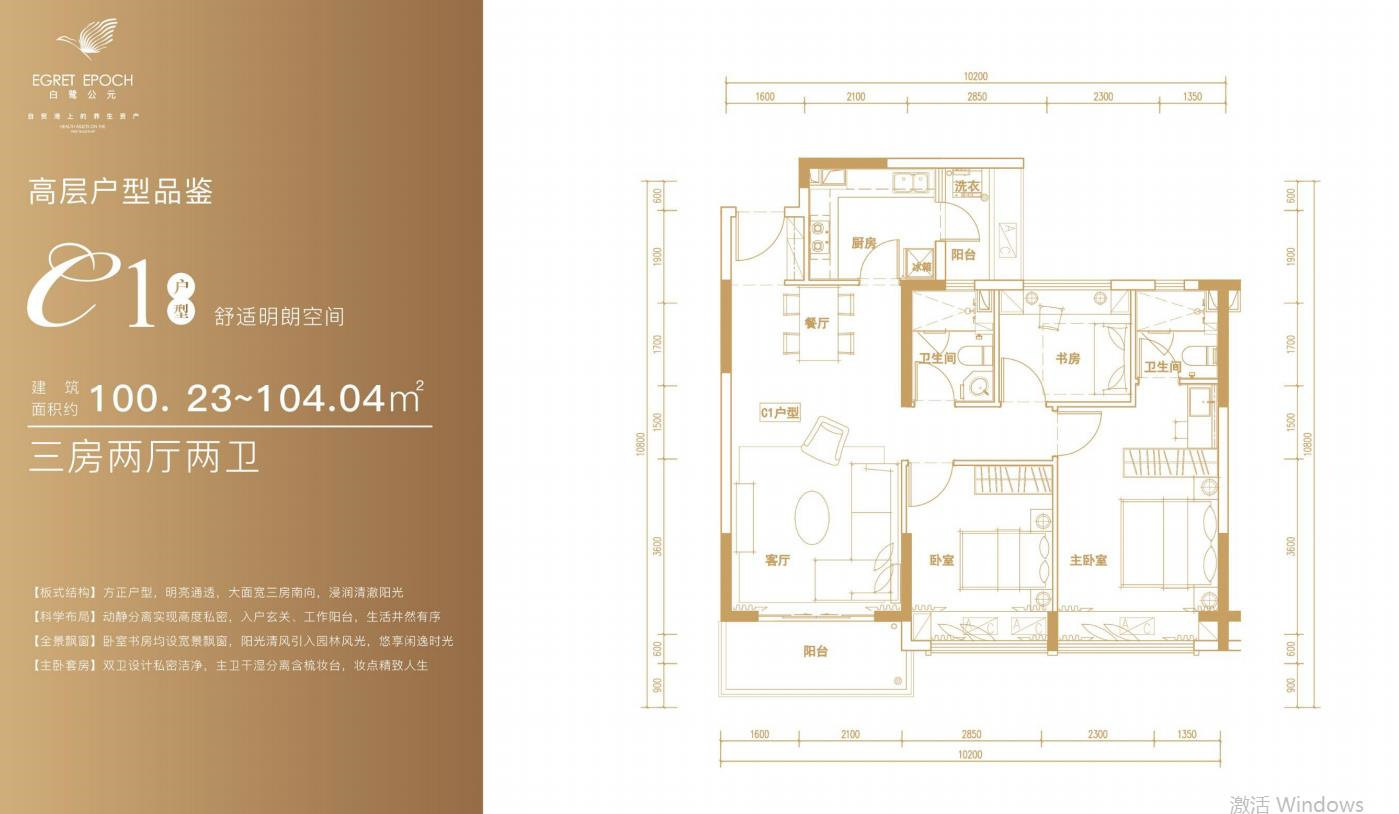 C1户型