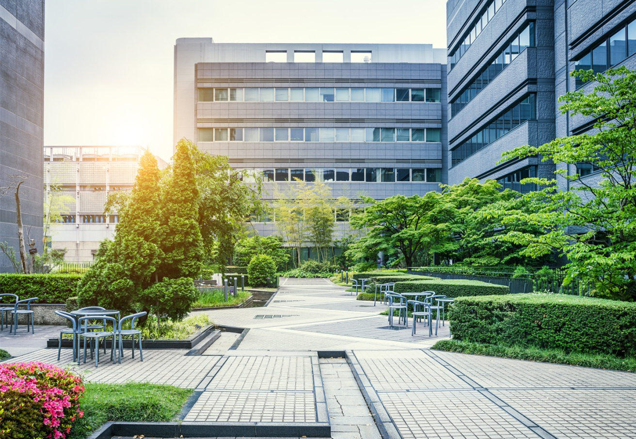 实景图