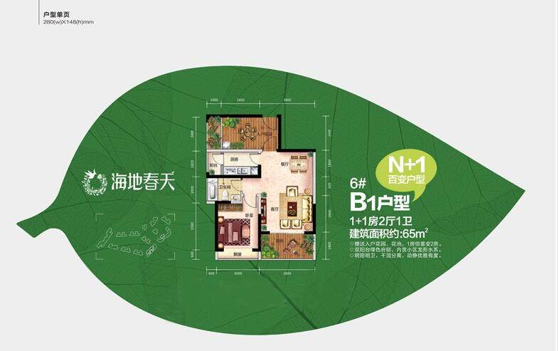 B1户型图