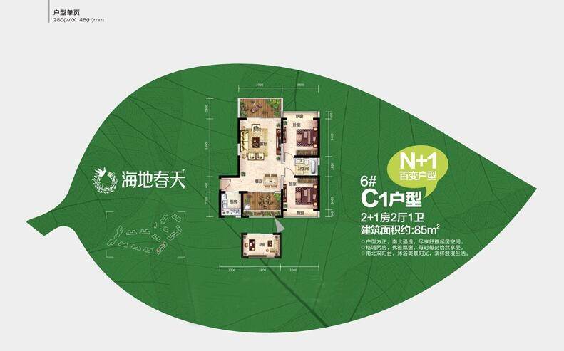 C1户型图