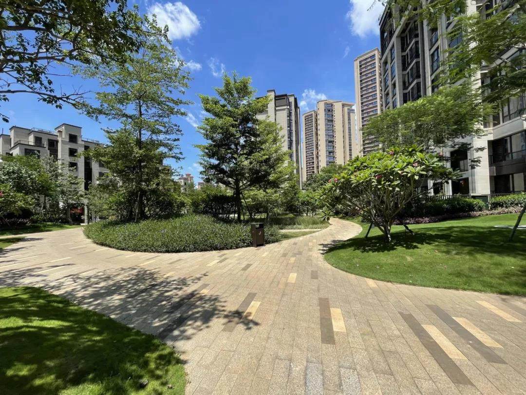 实景图